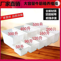 Direct selling anti-fall turtle breeding square box large durable breeding box beef tendon box turnover box grade rectangular beef tendon 50L box 5