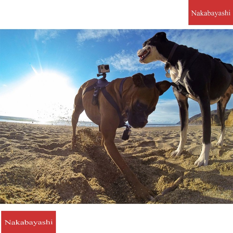 Suitable for GO camera accessories dog strap chest strap fixing set pet dog strap chest strap