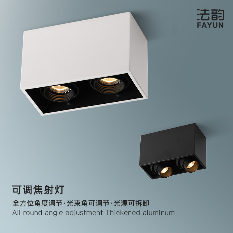 Surface mounted LED double head spot light Commercial household ceiling Bull's eye Living room Dining room cob aisle Corridor ceiling without main light