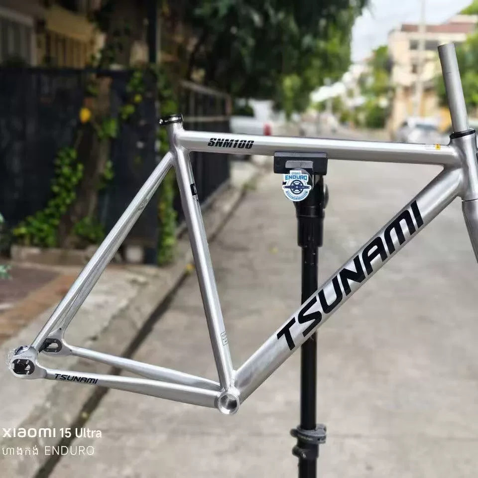 TSUNAMI Tsunami Speed Nami SNM100 Pioneer Dead Flying Aluminum Alloy Racing Track Bicycle Frame