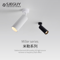 Led Ming Dress Spotlight Adjustable Angle Single Creative Home Background Wall Suction Top Type Polyillumination Painted Golden Spotlight