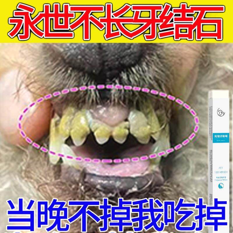 宠物洁牙神器：猫狗洁牙牙刷笔，如何让宠物口腔焕然一新？-狗口腔清洁-淘宝好物网