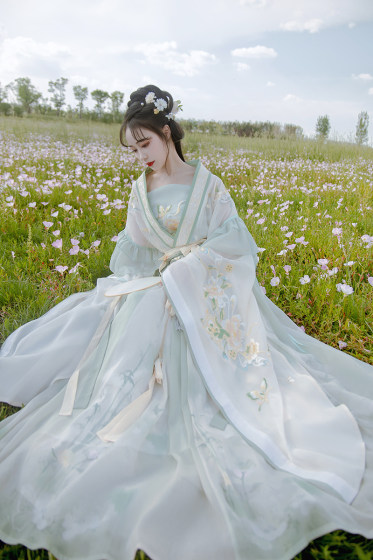 Yan Feiling의 원래 Hanfu, 12개의 꽃 여신, Wei, Jin, Southern and North 왕조, 큰 소매 언더셔츠, 여성용 Jin 스타일 Hanfu