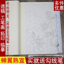 Anhui Jixuan paper meticulous painting special cicada wing rice paper cicada clothes four-foot Mica cooked propaganda Chinese painting copy through the line