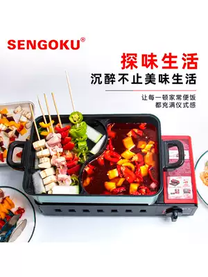 Thousand stone grill BBQ 167R accessories