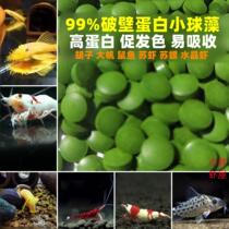 Small Balls Algae Fish Food Rat Fish Beard Large Sails Profiled Benthic Fish Feed Susnail Crystal Shrimp Su Shrimp Prawn Shrimp Grain Opening Grain