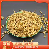 Honey bag-bag hedgeHardware Golden silk bearkook skunk chimney makeup main grain bakery high protein snack supplemented calcium squirrel