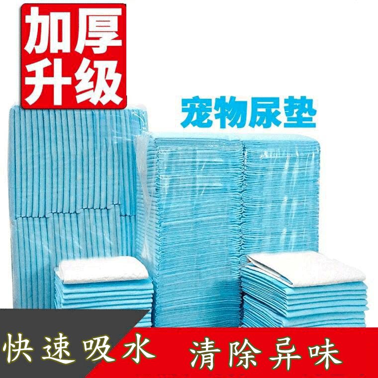 Squirrel honey bag glider devil pet deodorant urine pad high-quality diaper wet deodorant absorbent antibacterial cage convenient tray