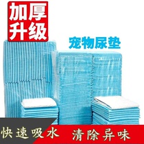 Squirrel honey bag king pet anti-odor pad high quality diaper wet deodorizing antibacterial cage convenient pallet