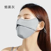 Дымовая пепела 1 /сумка