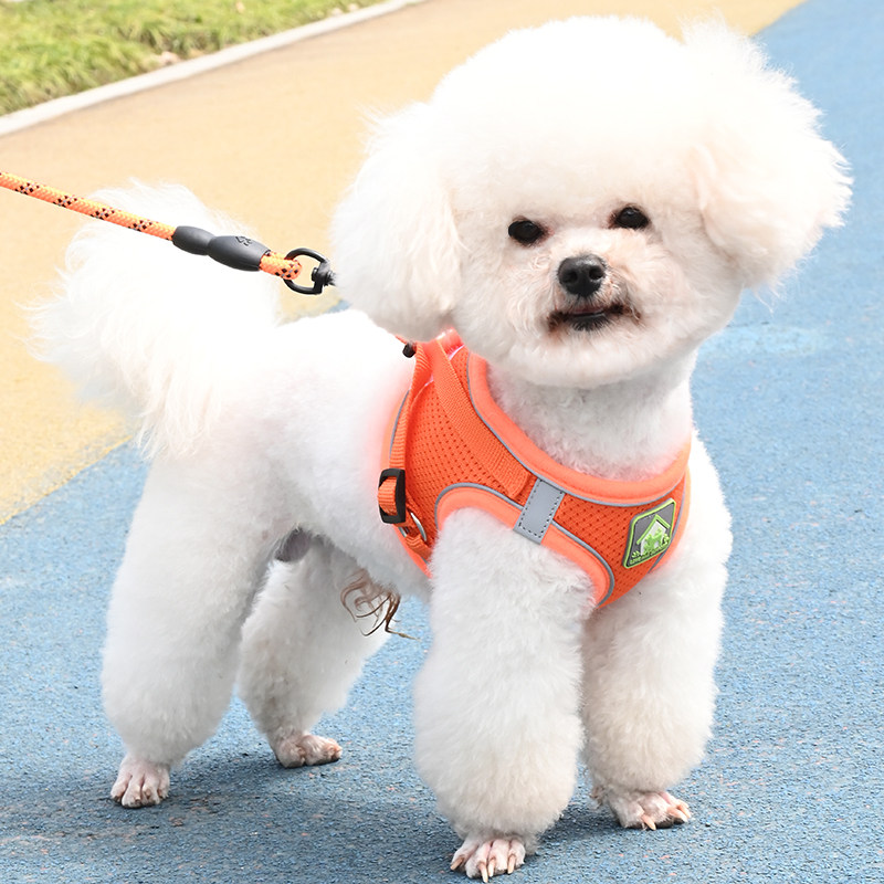 Vest Dog Traction Rope Small Dog Teddy Bib Bear Beaume Pet Breast Cuddling puppies puppies Dogs Rope