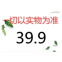 Womens bottoming shirt short sleeve solid color loose t-shirt