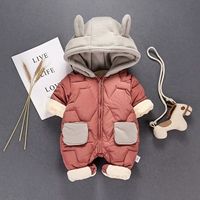 Маленькая обезьяна-кирпич красный