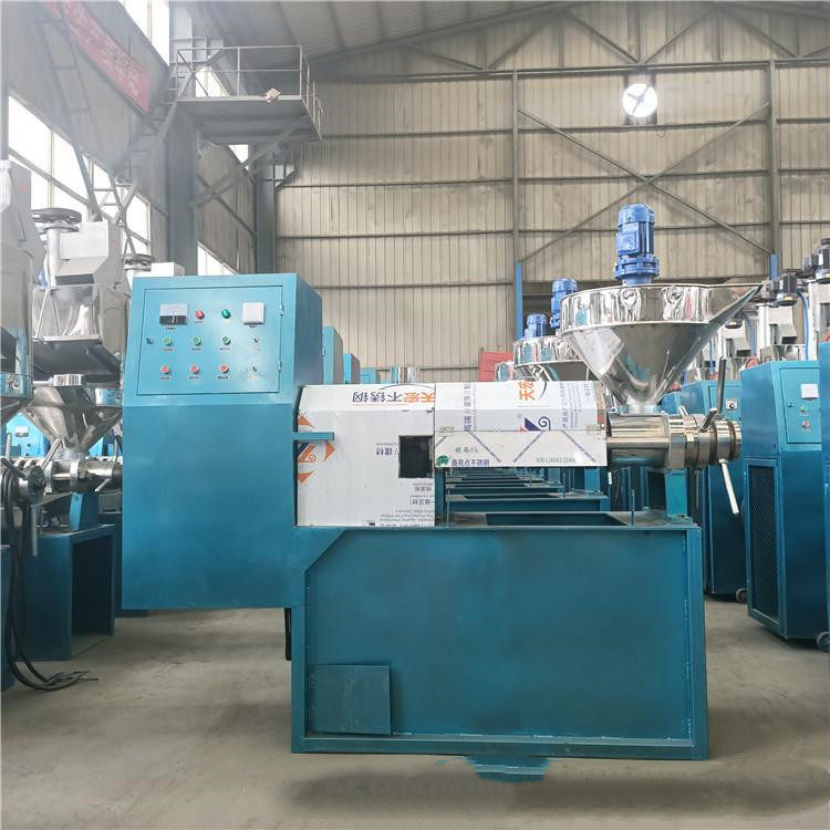 Peanut soybean tea seed rapeseed glutinous rice sesame corn oil tung seed screw oil press small processing production line
