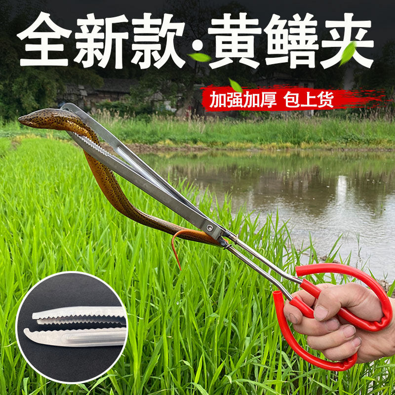 Stainless steel yellow eel clips eel fish clip Nip Clay pliers Anti-slip anti-remove and catch a special tool to catch the sea deity