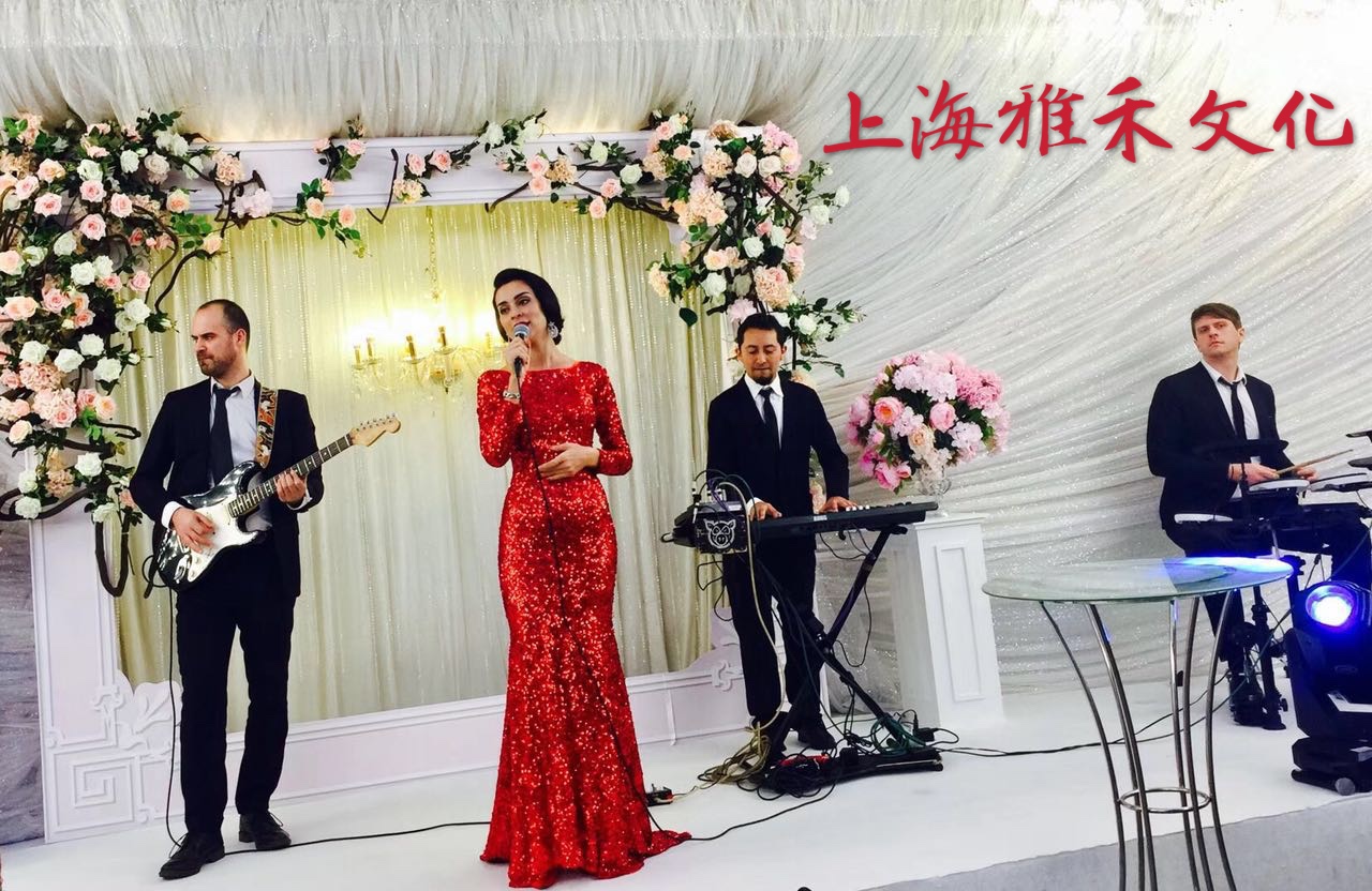 Birthday Banquet Singer Annual Meeting Chamber of Commercial Party Show Singer DJ Band Violin Play