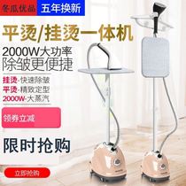 Hung bronzing machine Home new fully automatic 2021 STEAM IRON AUTOMATIC Wrinkle Single Rod Vertical