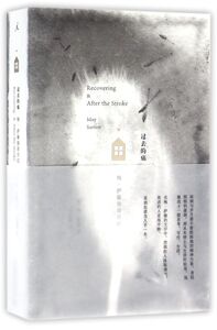 过去的痛(梅·萨藤独居日记)