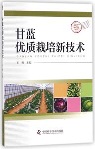 甘蓝优质栽培新技术