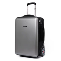 Светло -серый 22 дюйма