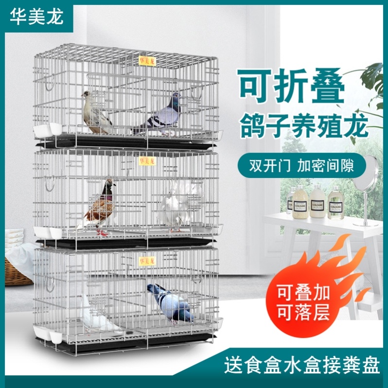 Pigeon utensils and supplies Daquan bold stainless steel color breeding cage pigeon cage extra large metal large large
