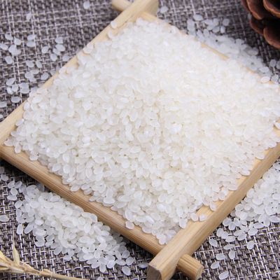 【限量秒杀】东北大米香米5斤