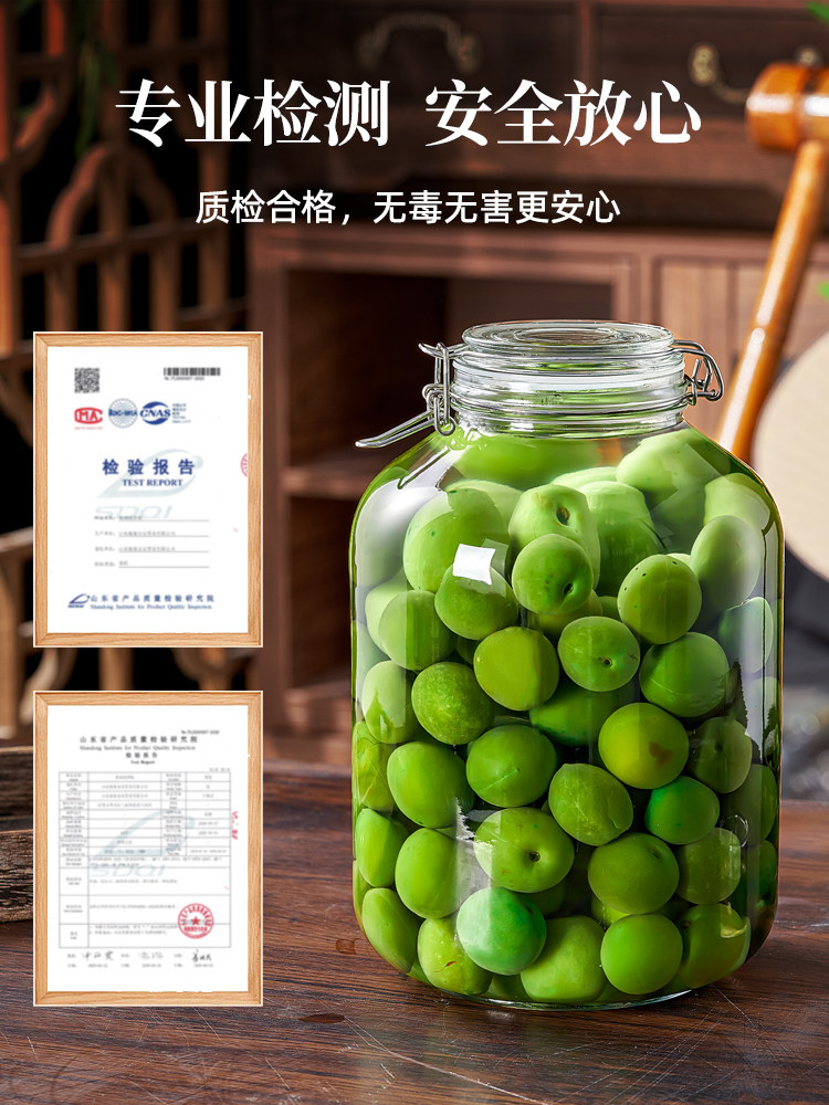 Green Plum Wine Jar, Food-Grade Household Sealed Special Wine Bottle, Empty Container for Soaking Wine, Bayberry Fruit Wine Glass Bottle