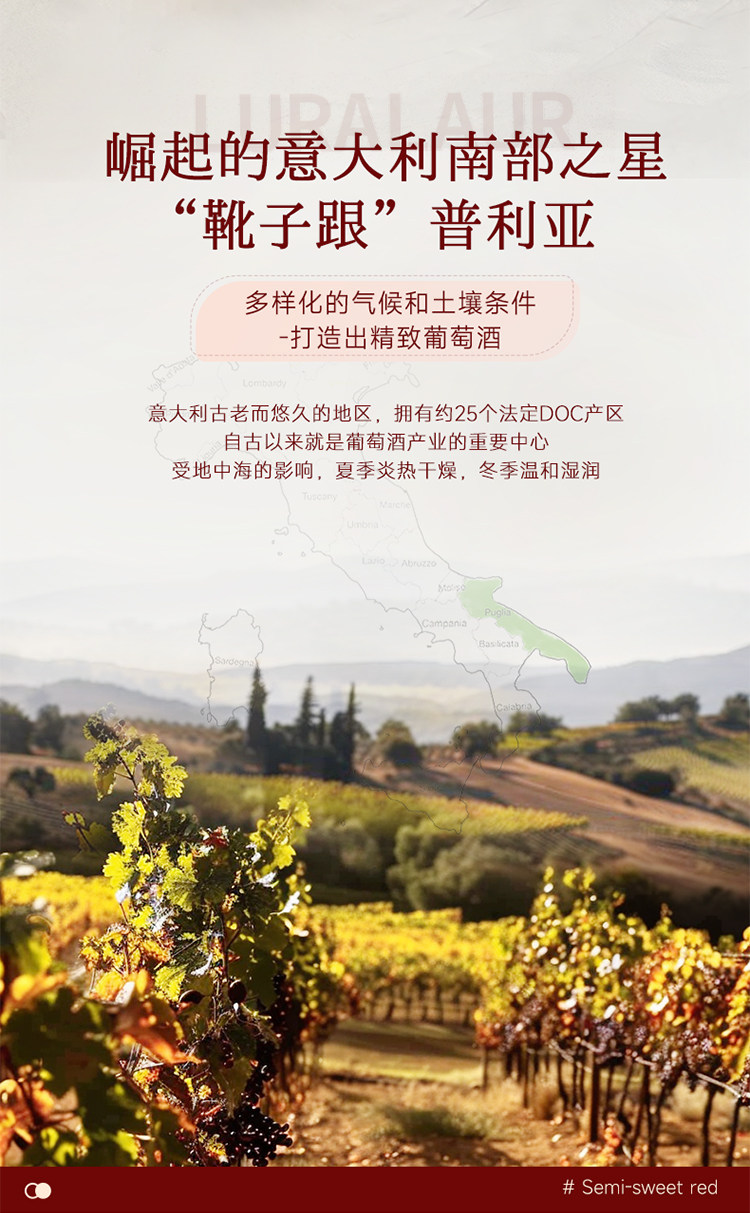 安享好物 安享C级葡萄酒-菲特瓦露拉 意大利 半甜红酒 国标 