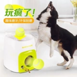 Автоматическая теннисная пусковая установка, награда, игрушка, домашний питомец