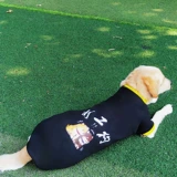 Одежда для собак, осенне-зимний свитер, бордер-колли, лабрадор, золотистый ретривер, самоед, сиба-ину, плюшевая собака для больших и средних собак