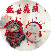 Cat Hat Peking Opera Decorative Ears Dog Headband Headwear Pet Christmas New Year Spoof Photo Props