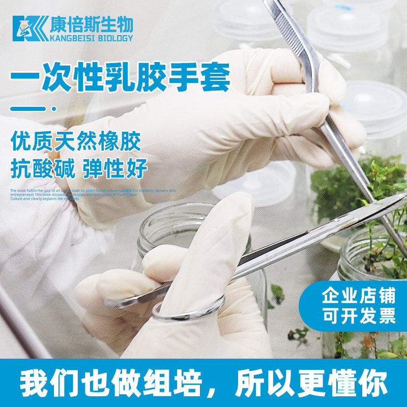 光明实验用手套一次性乳胶手套加厚耐磨无粉康倍斯无糖组培套装