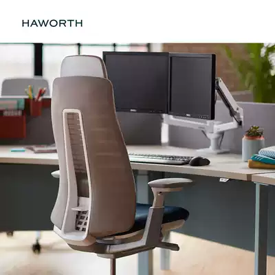 Haworth Haworth Fern top version Plant Bionics ergonomic chair Office Chair-Including headrest and lumbar support