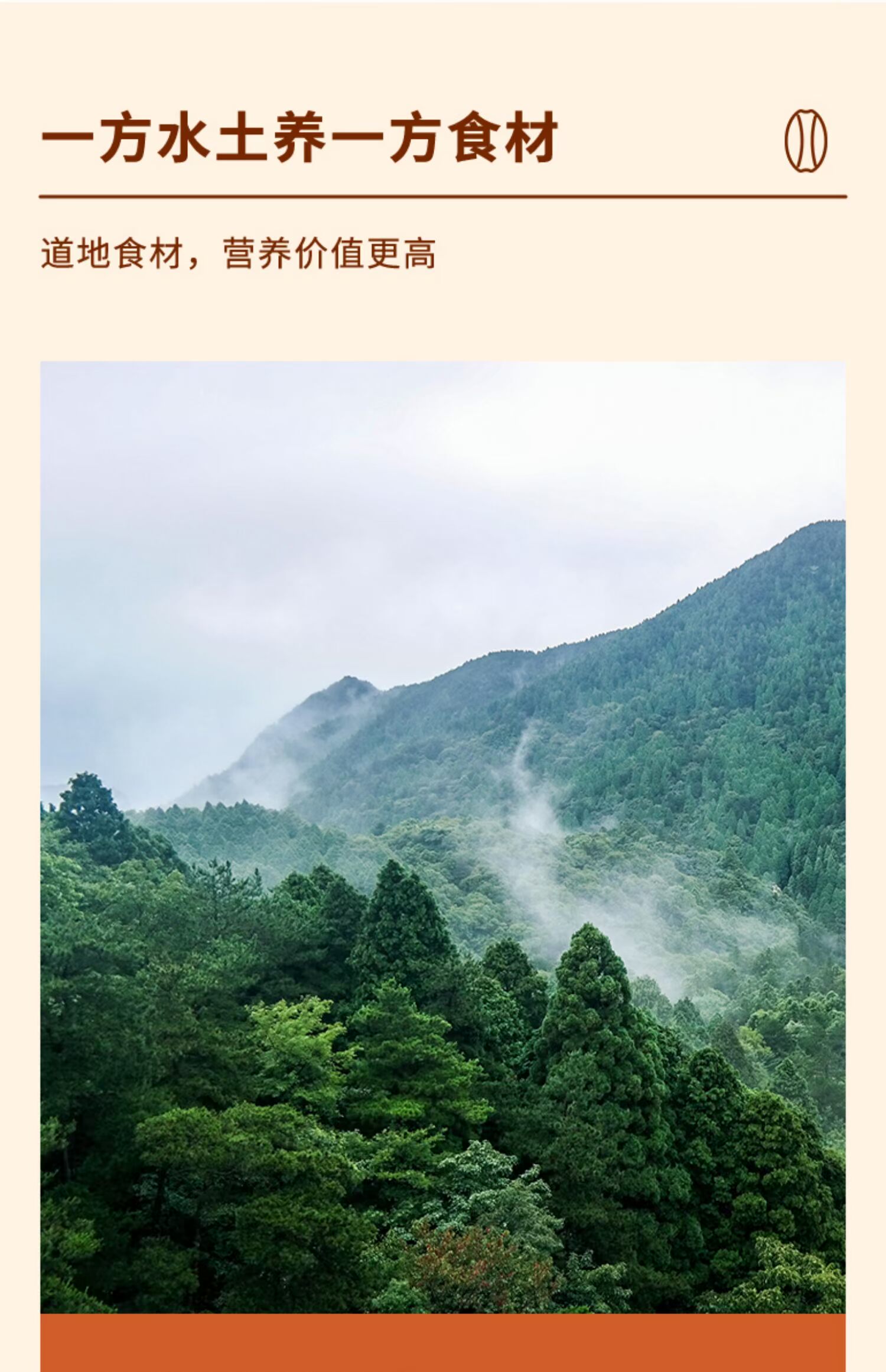 景德古方枸杞薏米茶祛湿茶