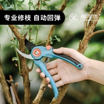 Xie Bingburn home gardening pruning shears floral scissors fruit tree shears garden tools bonsai cuttings fresh cut flower shears