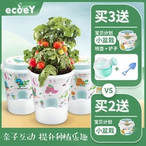 Kindergarten planting small potted children mini DIY small flower grower plant vegetable growth observation baby primary school students