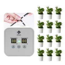 succulent plant automatic watering device home indoor intelligent watering timing watering artifact drip irrigation system lazy person