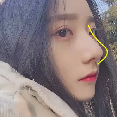 Little red book sells well (beautiful nose artifact out of your new height bid farewell to ugly nose) buy two get one free