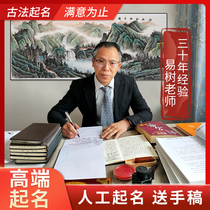 Mr. Yi Shu’s high-end baby adult artificial company’s store brand naming