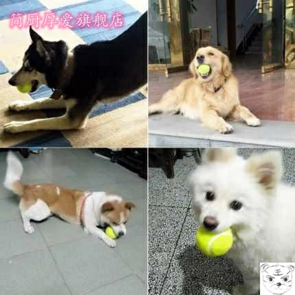 Игрушка, резиновый интерактивный прыгучий мяч, домашний питомец, избавление от скуки