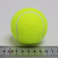 Обучение домашних животных 1 желтый