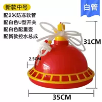 Купить десять, получи один, получи один бесплатно