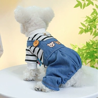 Собачья одежда может вытащить четырех -футов