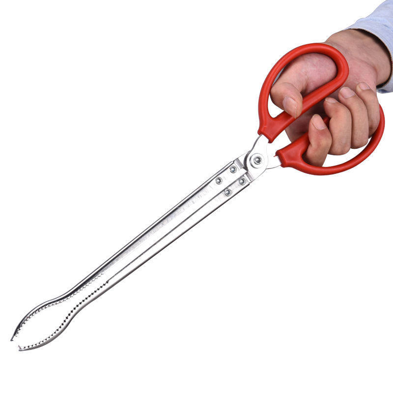 Eel special clip eel fish clip Catch Crab Thever Mud Loach Pliers Non-slip Stainless Steel Long Fish Catch the Divine Apparatus Thickening