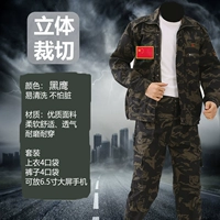 Поклонники национального флага камуфляж