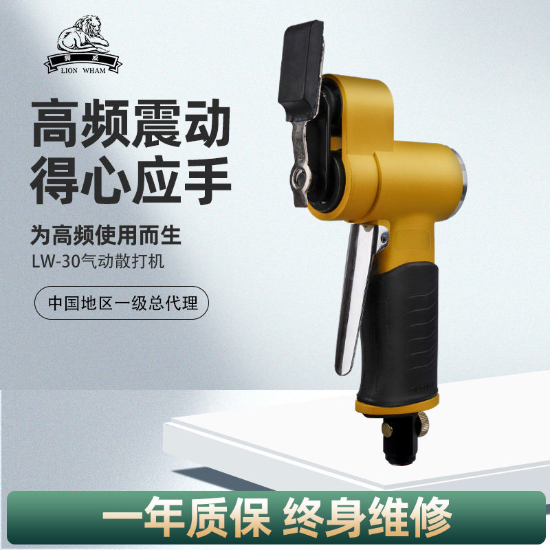 Lion Wil Pneumatic Burr Sander of Lined Sand Flat Bulk Machine Left Right Reciprocating Swing Polishing Machine Sandpaper Machine