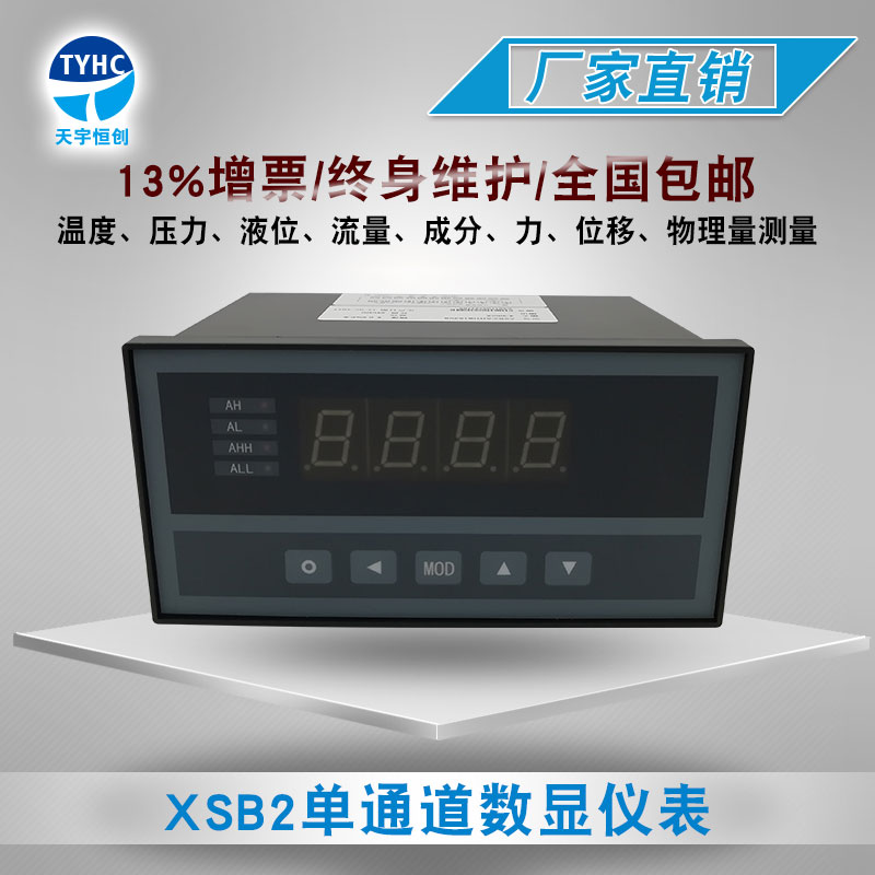 XST XSB2 Single input channel instrument Display instrument number PT100 4-20mA RS485 RS232