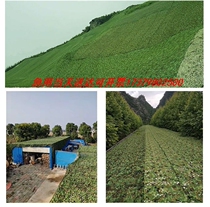 Air defense shooting hidden web camouflak web shading net outdoor shading mesh cloth green anti-fake mesh cover cloth anti-sunscreen cloth