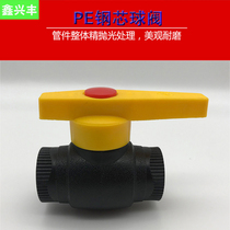 PE steel ball socket 20 25 32 40 50 63 75 90 110 butt-type pipe fittings