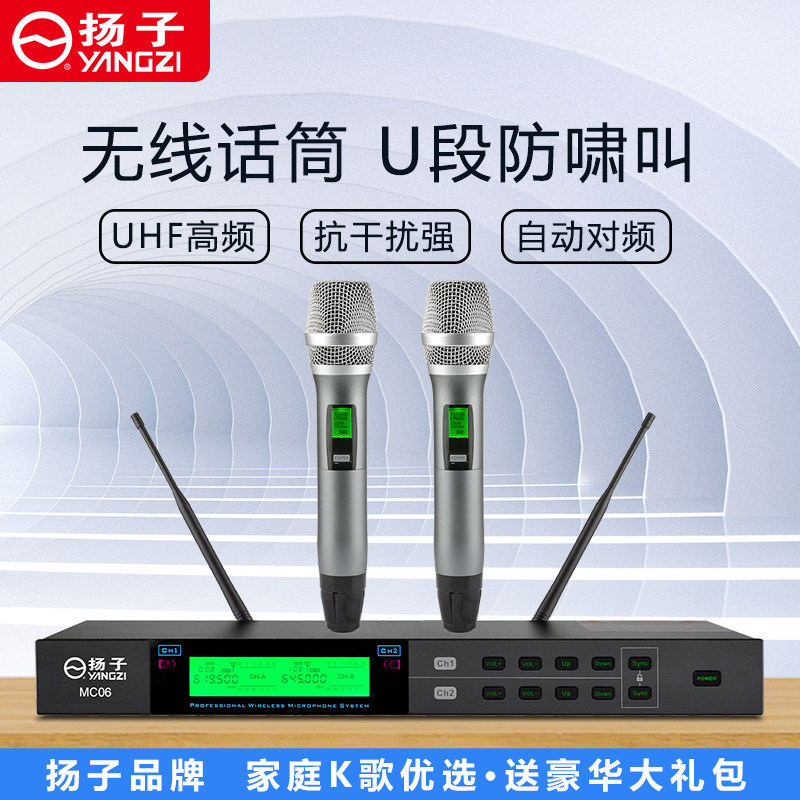 Yangzi professional U-segment karaoke wireless microphone one for two conference stage wireless microphone home performance karaoke